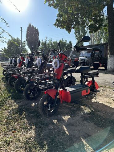 Скутеры: Веломопед 500 куб. см, Электро, Новый — 5