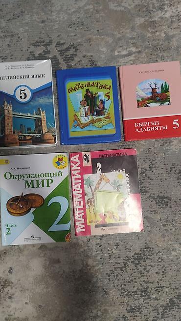 secom книги: Учебники для школы (1–5 классы). Подходит для русскоязычных. Состав — 5