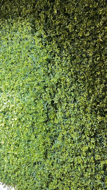 Digər ev dekoru: 7 man baslayan qiymetler elani diqqetli oxuyun zehmet olmasa ed 7 man — 13