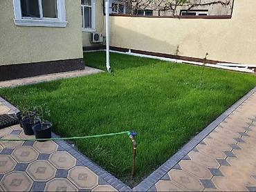 Газон: Поссев газон✓ Посадка цветов ✓ Посадка декоративных растений ✓ — 9