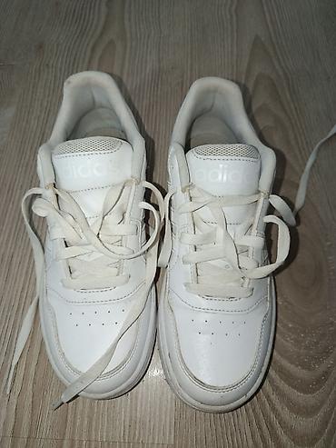 patike ecco: Original, novo — 1