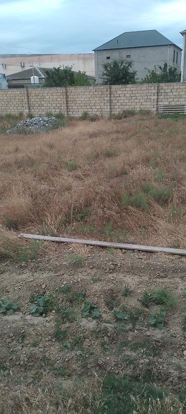 Torpaq sahələrinin satışı: Kənd təsərrüfatı — 9