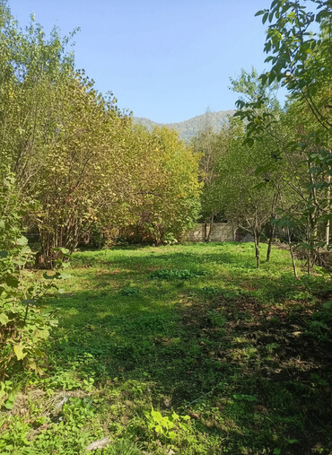 Torpaq sahələrinin satışı: 10 sot, Tikinti, Barter mümkündür, Kupça (Çıxarış) -da lalafo.az — 3 Torpaq sahələrinin satışı: 10 sot, Tikinti, Barter mümkündür, Kupça (Çıxarış) — 3