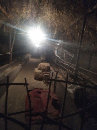 Продажа домов: Дом, 12 м², 4 комнаты, Собственник — 21