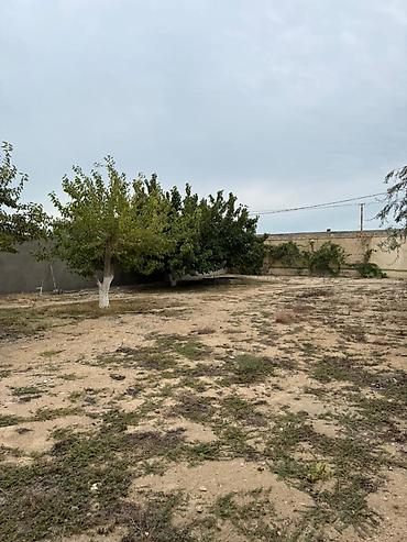 luks home: 5 sot, Tikinti, Makler, Kupça (Çıxarış) — 3