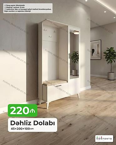 seyf dolab: Dəhliz dolabı – 45×200×100 sm - Material: 18 mm laminat - Rəng — 1