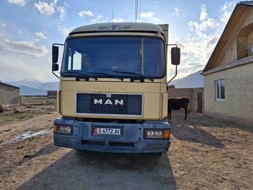 Грузовики: Грузовик, MAN, Стандарт, Б/у