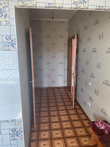 Долгосрочная аренда квартир: 1 комната — 5