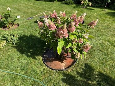 Садовые бордюры: Бордюрная лента КАНТА Бордюрная лента КАНТА доступна в трех цветах — 19