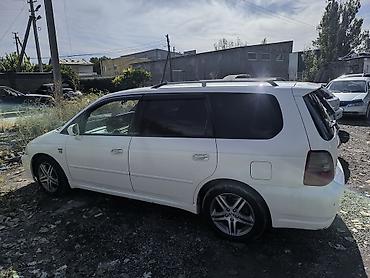 ремни грм: Honda Odyssey: 2003 г., 2.3 л, Автомат, Бензин, Универсал — 5
