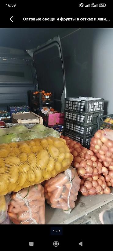 оптом фрукты овощи: Оптовая продажа овощей и фруктов в сетках и ящиках. Ассортимент: - — 1