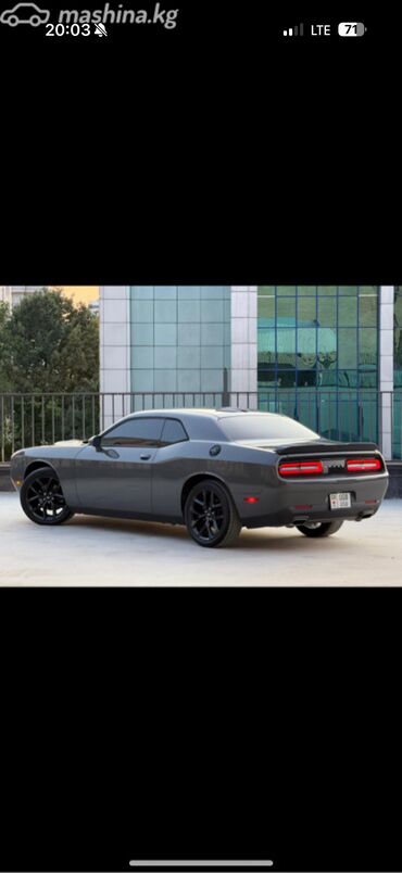 додж машина: Dodge Challenger: 2019 г., 3.6 л, Автомат, Бензин, Купе