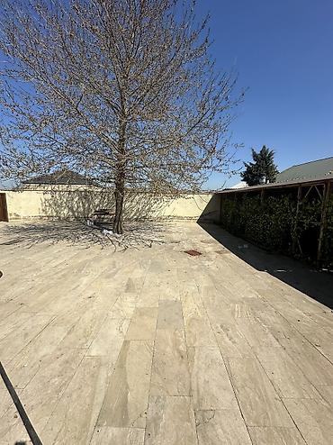 4 sot, Tikinti, Maklerlər narahat etməsin, Kupça (Çıxarış)
