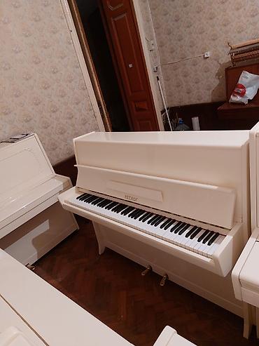 Musiqi alətləri: Pianino PETROF Cexiya stehsalı. İdeal vəziyyədə. Cadrılma və köklənmə — 2