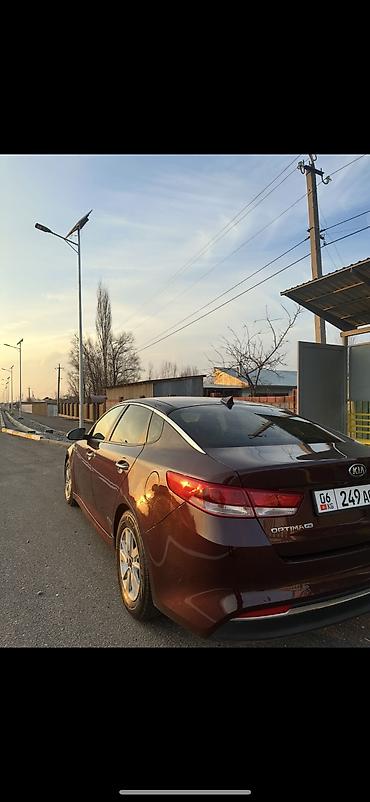Kia: Kia Optima: 2017 г. — 11