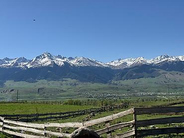 Туристические услуги: Приглашаем на Кумысолечение с 1-го мая!!! Лечебное кобылье молоко в — 13