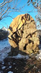 декоративные кролик: Сено в тюках. - Прессованные тюки прямоугольной формы, удобные для