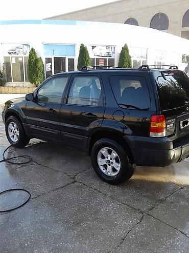 Avtomobil satışı: Ford Escape: 3 l | 2004 il 180000 km Ofrouder/SUV — 5
