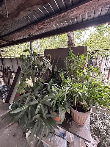 Продажа коттеджей и домов: 4 комнаты, 109 м², 5 соток, Бишкек, Дордой рынок / базар Собственник — 20