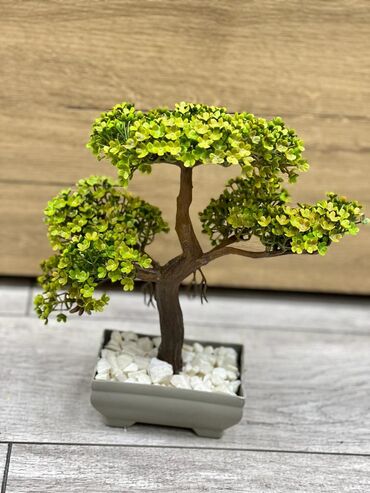 Süni güllər: Dekor dibçekler — 10