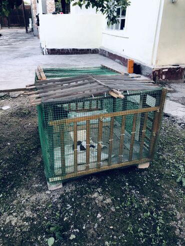Товары и оборудование для с/х животных: Клетка для цыплят, полное обзор через видео напишите