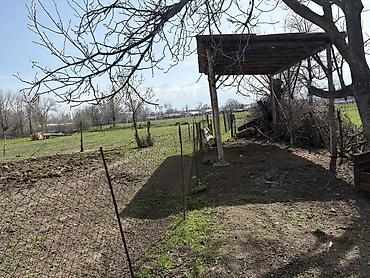 Продажа коттеджей и домов: Срочно
село Чалдовар, улица Советская 280 at lalafo.kg — 24 Продажа коттеджей и домов: Срочно
село Чалдовар, улица Советская 280 — 24