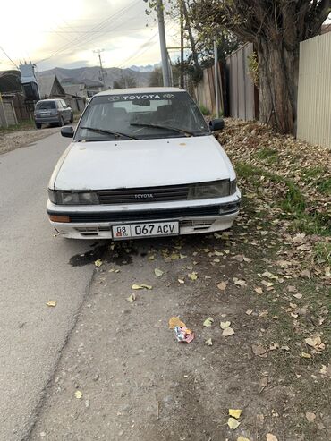 Toyota: Toyota Corolla: 1990 г., 1.3 л, Механика, Бензин, Хэтчбэк