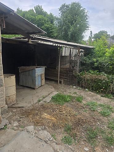 Продажа коттеджей и домов: Продаётся дом с большим двором и крытым навесом.По факту 13 соток .3 — 11
