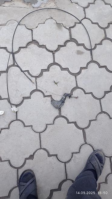 Замки: Audi Оригинал, Германия — 1