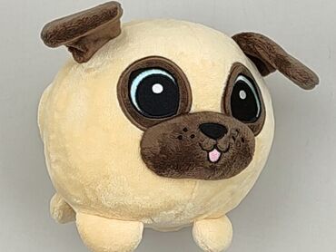 mascot spodenki: Maskotka Pies, stan - Bardzo dobry