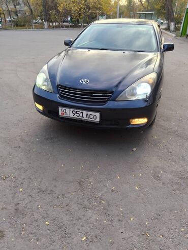 чехол на эстиму: Toyota Windom: 2002 г., 3 л, Автомат, Бензин, Седан