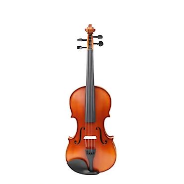 скрипки: 🎻 SKRİPKALARA MÖHTƏŞƏM ENDİRİM + HƏDİYYƏ! 🎁 ProMusic-də Amati və — 10