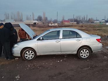 Продажа авто: Toyota Corolla: 2008 г., 1.6 л, Механика, Бензин, Седан — 4