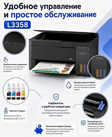 zebra: Новый — 3