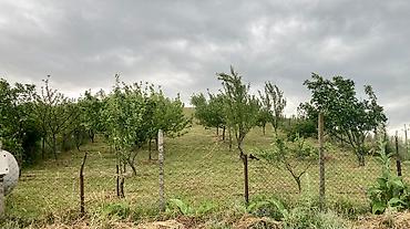 xırdalan torpaq satışı: 12 sot, Tikinti, Mülkiyyətçi, Kupça (Çıxarış) — 6