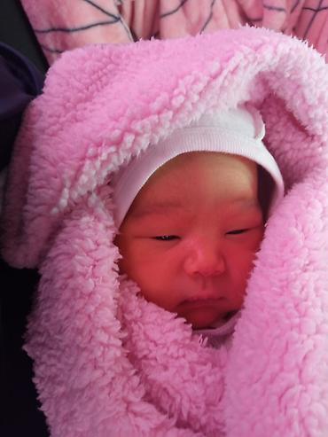 СТО, ремонт транспорта: С выездом — 11