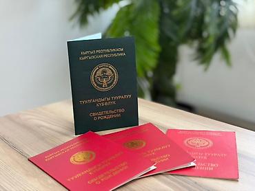 Услуги переводчика: Услуги переводчика — 13