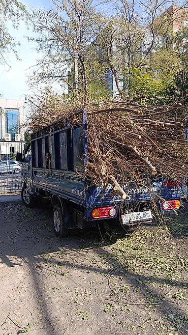 яшик для портер: Заказать Хендай портер, Вывоз строй мусора — 3