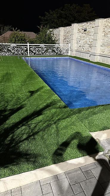 bit bazarı: 🌿 Hər fəsildə yaşıl görünən məkanlar üçün ideal seçim! Süni — 5
