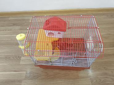 hamster near me: Ev siçanı(xomyak) üçün işlənmiş qab. Su qabi, evi və piləknları — 2