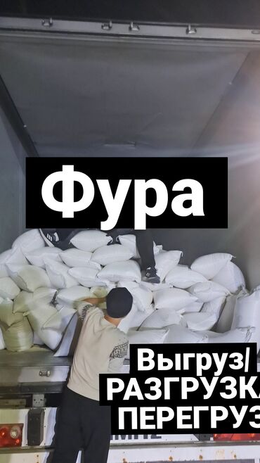 я ищу работу в бишкек: Жүк ташуучу. 3-5 жылдык тажрыйба