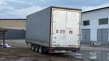 палатка на авто: Прицеп, Шторный, 11 т, Б/у — 1