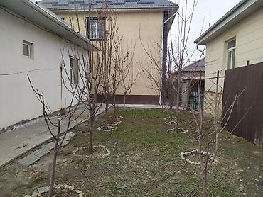 Другие услуги: Жемиш багын Оз убагында, туура бутоо Мол тушум Алма бак бутайбыз Ар — 4