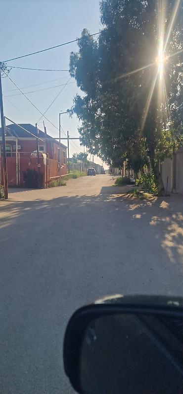 zabratda: Tikinti, Mülkiyyətçi, Kupça (Çıxarış) — 1
