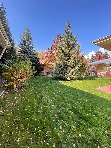 Продажа коттеджей и домов: Продается дом в ЦО РАДУГА .Дом с участком и полноценным садом - — 2