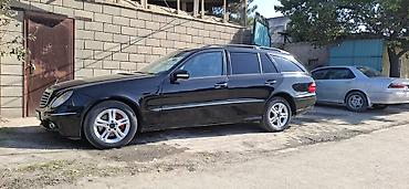 Mercedes-Benz: Mercedes-Benz E-Class: 2008 г., Автомат, Универсал — 10