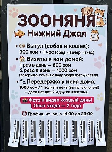 еду: ​ЗОOНЯНЯ 🐾 ​Район: Нижний Джал ​Здравствуйте! С удовольствием — 1