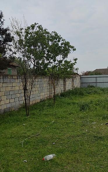 Torpaq sahələrinin satışı: 10 sot, Tikinti, Mülkiyyətçi, Bələdiyyə — 7