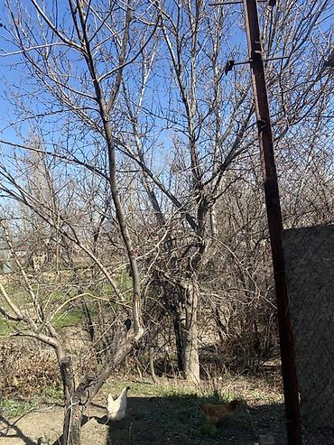 Продажа дач: Продаётся дом с участком. - Одноэтажный дом из кирпича с — 20