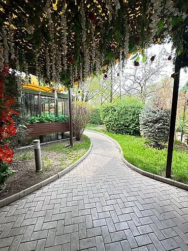 Продажа ресторанов, кафе: Продаю легендарное кафе «Одиннадцатый» 11 микрорайон по ул — 4